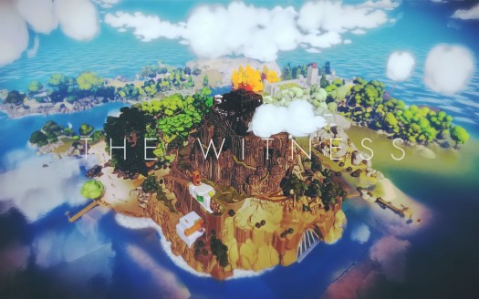 the witness 11