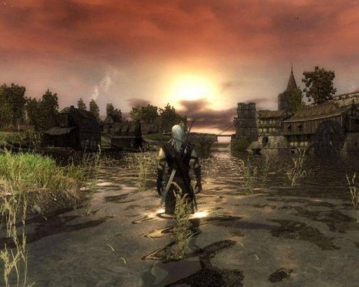 the witcher 2 6