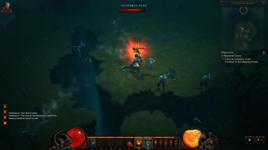 Diablo III 2012-01-08 03-13-18-60