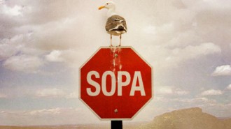 Размът надделява, Белият дом се изказва (частично) срещу SOPA
