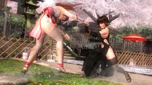 dead or alive 5