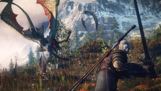 the witcher 3 5