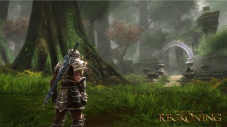 THQ Nordic вече притежава Kingdoms of Amalur
