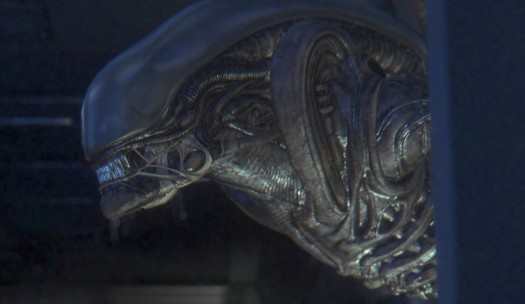 alien isolation 13