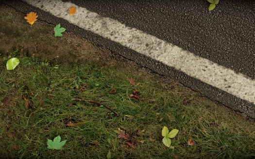 project cars 6