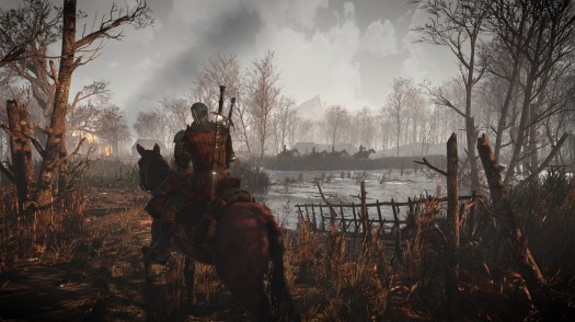 the witcher 3 11