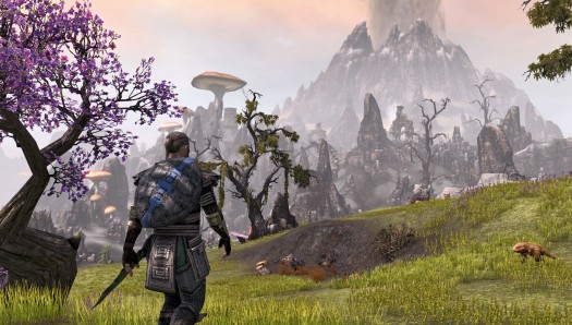 the elder scrolls online 9