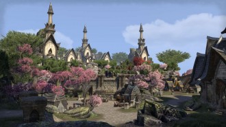 Конзолният The Elder Scrolls Online може да се забави и до 2015 година