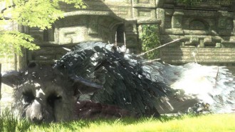 The Last Guardian отбелязвал прогрес „в нови условия“
