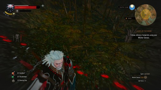 the witcher 3 13