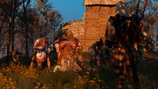 the witcher 3 14