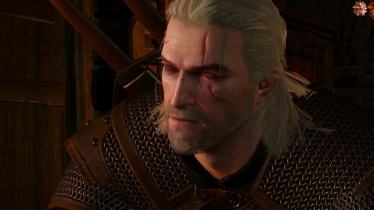 the witcher 3 8