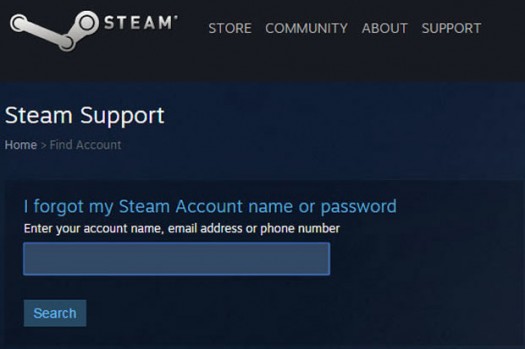 steam support