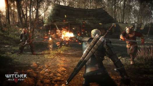 the witcher 3 28