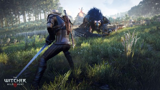 the witcher 3 29