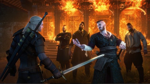 the witcher 3 35