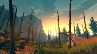 Valve купи създателите на Firewatch