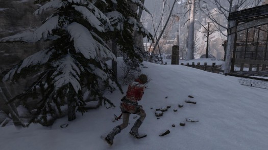 rise of the tomb raider 18