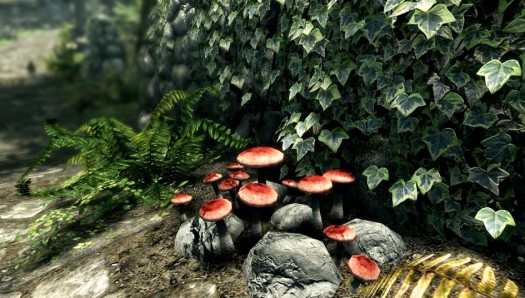 skyrim remaster 3