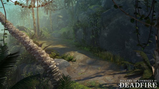 pillars of eternity 2 4