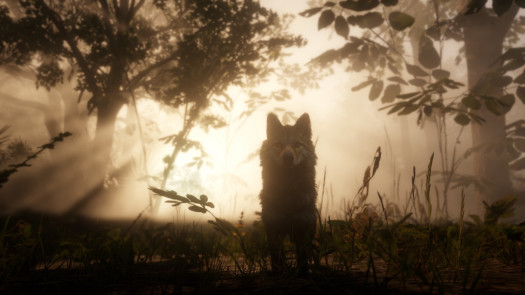 red dead redemption 2 9