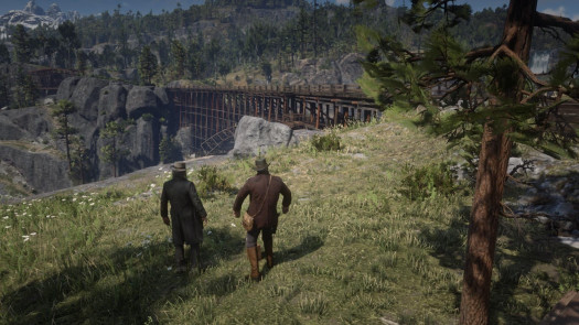 red dead redemption 2 11